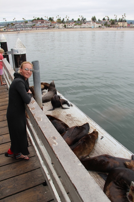 ����� ����